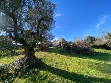 CASA DI CORTE A CISTERNINO