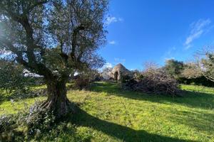 CASA DI CORTE A CISTERNINO