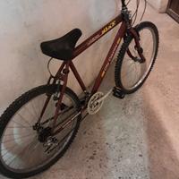 Bici mountainbike