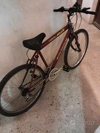 Bici mountainbike