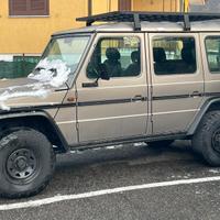 Mercedes classe G professional