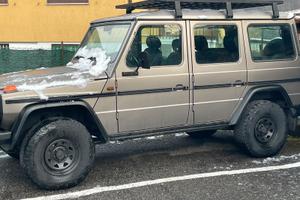 Mercedes classe G professional