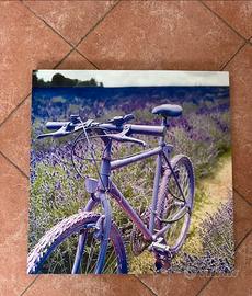 Tela 50x50 Lavanda