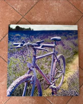 Tela 50x50 Lavanda