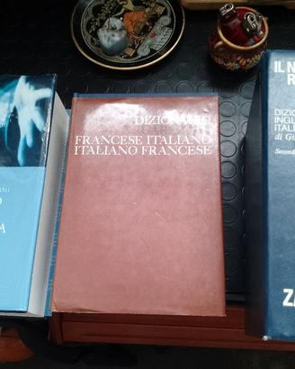 Dizionari 