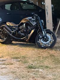 Harley 1250 muscle personalizzata