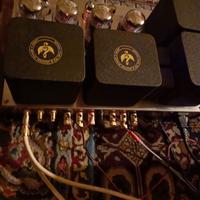 Ampli valvolareMusic Angel XD MKII hi fi