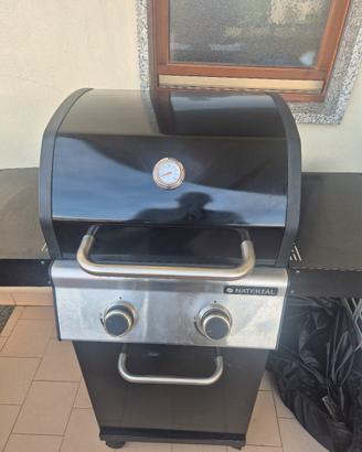 Barbecue a Gas 2 Fuochi