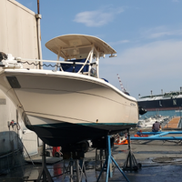 Cobia 21