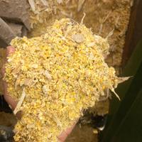 Balloni di trinciato e pastone di mais 