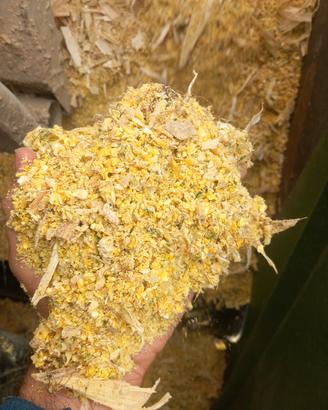 Balloni di trinciato e pastone di mais 