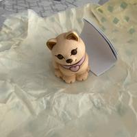 Gatto Bianco Thun Bauli