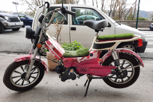 Innocenti HP Power Facile 50 4t