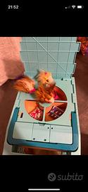 Little live pets