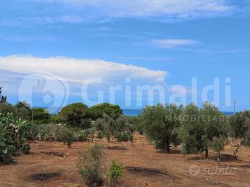 Terreno Agricolo Ugento [11fontanelleVCG] (Fontane