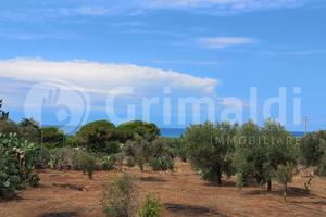 Terreno Agricolo Ugento [11fontanelleVCG] (Fontane