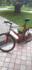 Bici mtb uomo