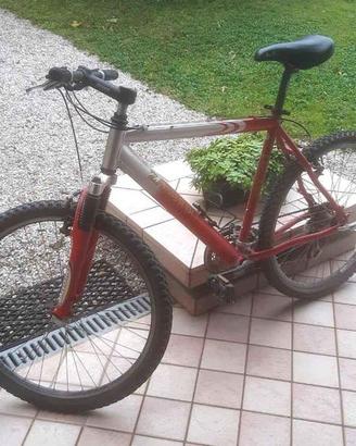 Bici mtb uomo