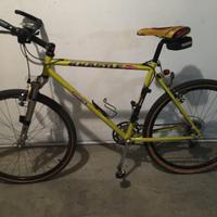 bici mtb Kastle