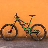 Yt Capra L