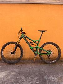 Yt Capra L
