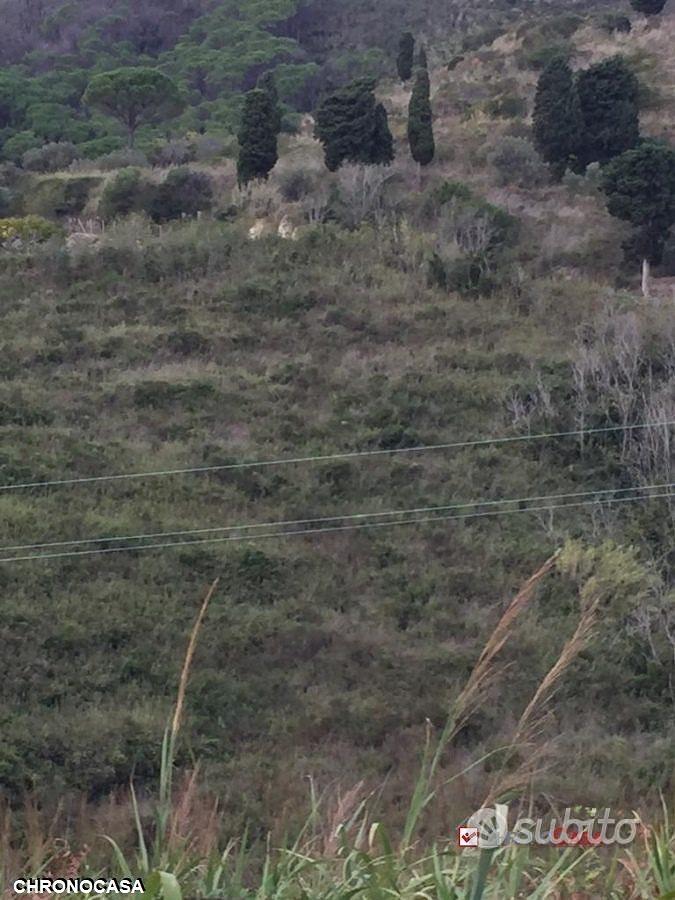 Terreno in contrada Messinese rif. AZO-5025 - Vista 4
