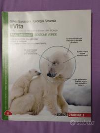 Vita edizione verde 