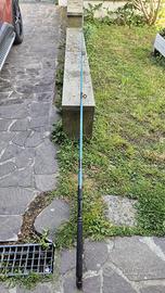 Canna  King Fisher m 2.70