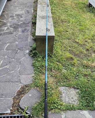 Canna  King Fisher m 2.70