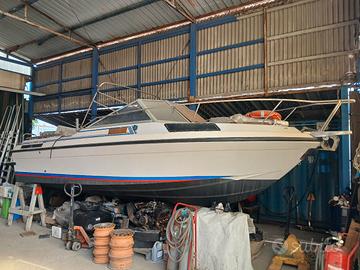 Cranchi Clipper 224