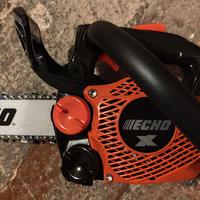 Motosega da potatura echo