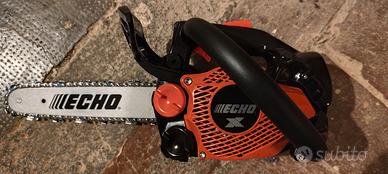 Motosega da potatura echo