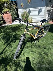Bici ragazzo