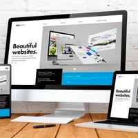 Creatore e manutentore di siti web