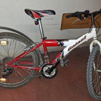 Bicicletta ragazzo bimbo 24 pollici