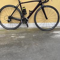 Bdc taglia 54