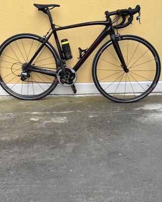 Bdc taglia 54