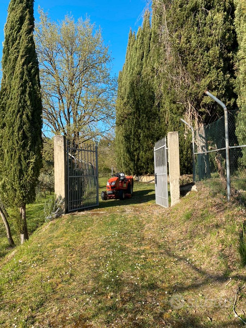 Terreno con ulivi - Vista 2