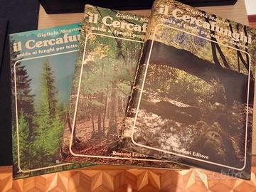 Per funghi con consapevolezza.