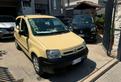 Fiat Panda 1.2 Dynamic Dualogic (AUTOMATICA)