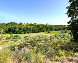 TERRENO AGRICOLO in ZONA ALTIDONA