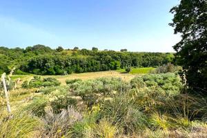 TERRENO AGRICOLO in ZONA ALTIDONA