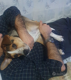 Oss Assistenza anziani,ecc