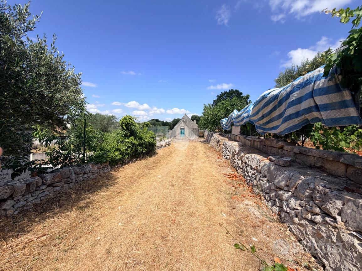RUSTICO A CISTERNINO - Vista 3