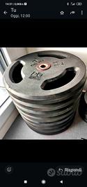 pesi dischi 20 kg gommati 