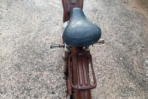 Bianchi sparviero