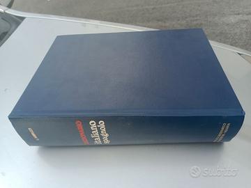 Dizionario di spagnolo " Lucio ambruzzi " 2 volumi