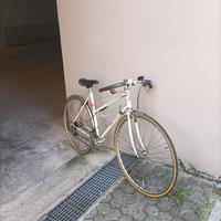 Bici donna