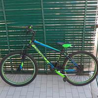 Bicicletta 
