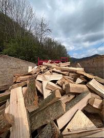 legna da ardere secca 